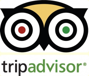 tripadvisor-resized-600